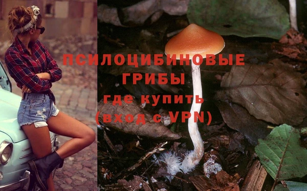 мяу мяу мука Алексеевка
