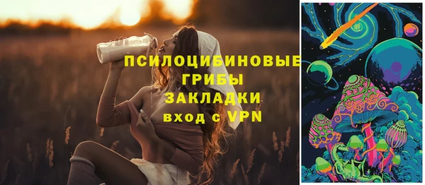 соль ск Алексин