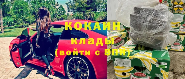 соль ск Алексин