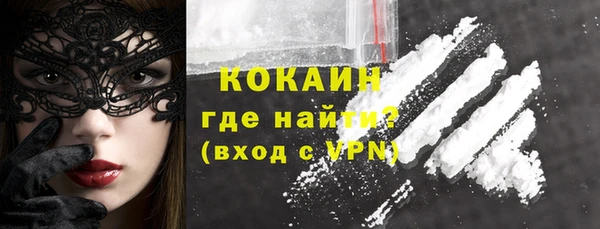 соль ск Алексин