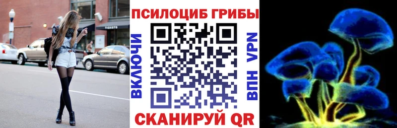 наркотики  Курлово  Псилоцибиновые грибы Magic Shrooms 
